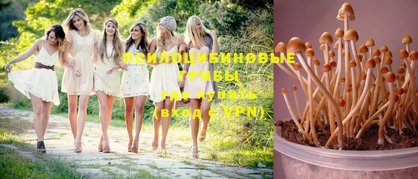 хмурый Нея