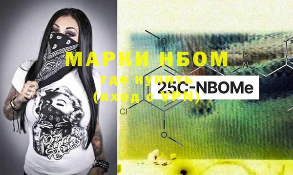 хмурый Нея