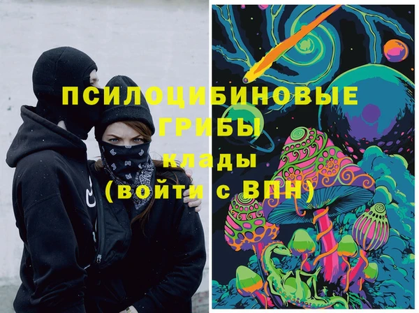 индика Ельня