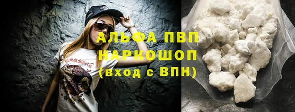 таблы Новозыбков