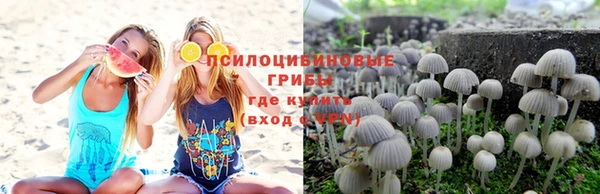 jwh Новодвинск
