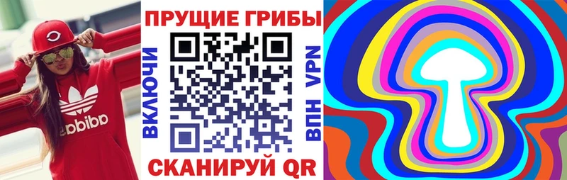 это как зайти Луза Псилоцибиновые грибы Cubensis mega ссылки